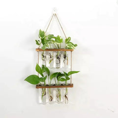 Wall Hanging Test Tube Propagation Station