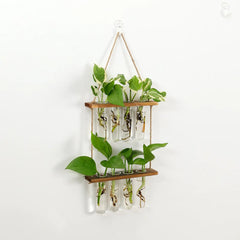 Wall Hanging Test Tube Propagation Station