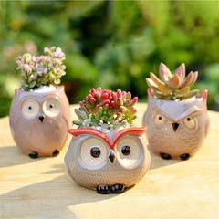 Ceramic Owl-Shaped Planters!