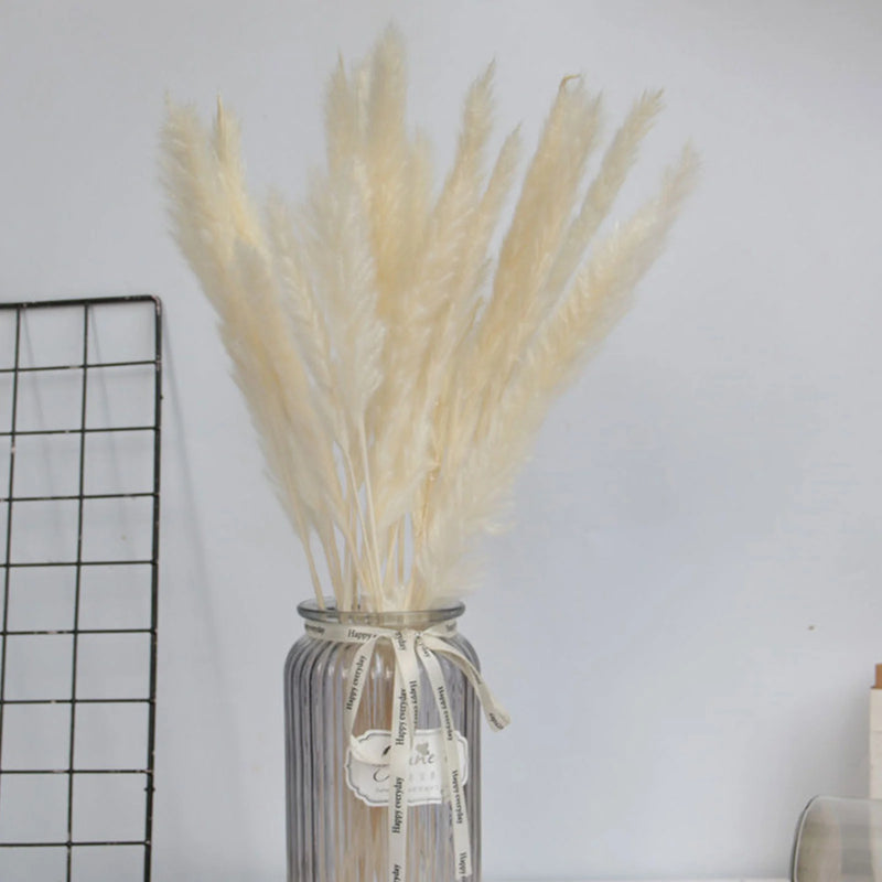 15 Natural Dried Pampas Grass Phragmites for DIY Home and Wedding Decor