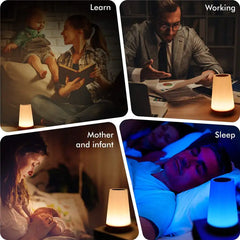 13 Color Changing Night Light Lamp