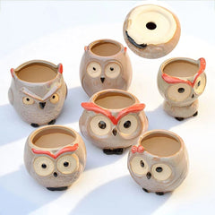 Ceramic Owl-Shaped Planters!